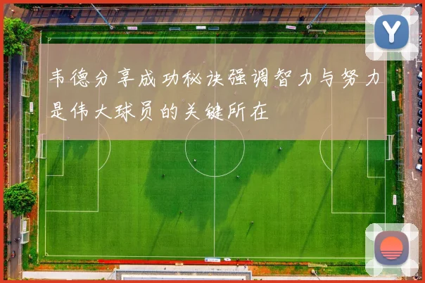 韦德分享成功秘诀强调智力与努力是伟大球员的关键所在